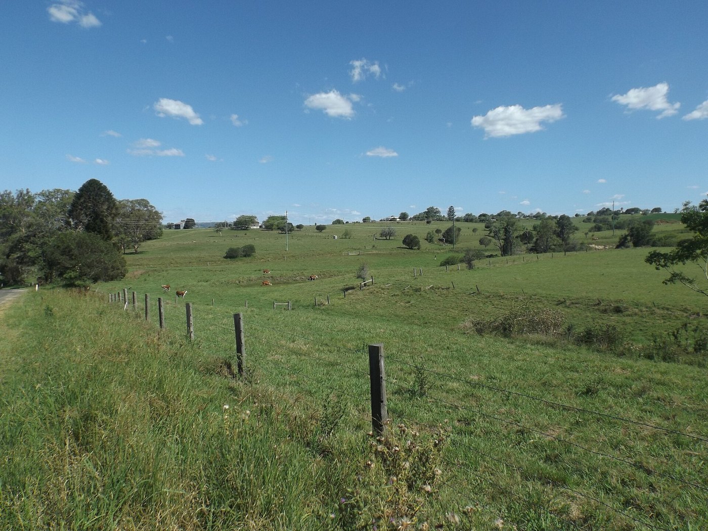 Paddocks along Kents Pocket Road at Templin Queensland