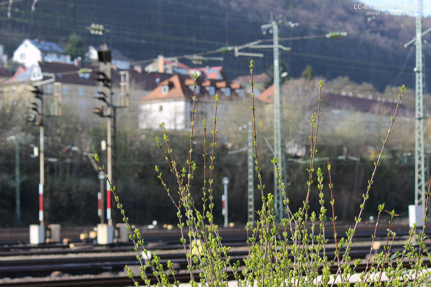Hp Signale mit Fokus auf den Strauch Bahnhof Treuchtlingen ()