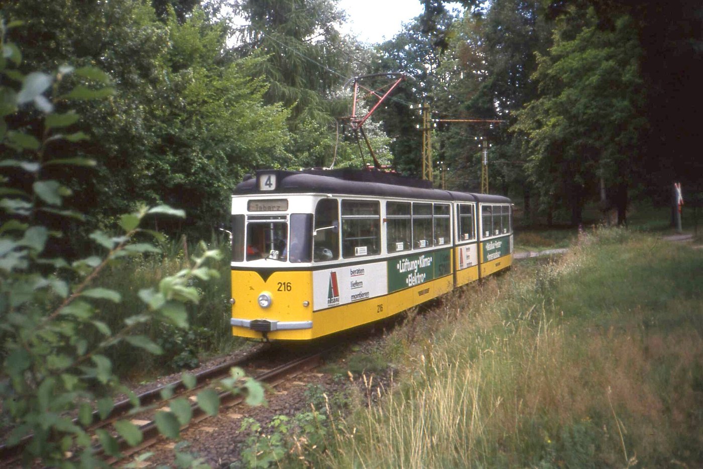 Thüringerwaldbahn Gotha GT4 tram no 216 near Friedrichroda, Waldbahn Aug