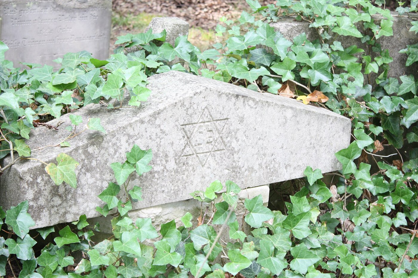 Jüdischer Friedhof Twistringen 2010 086