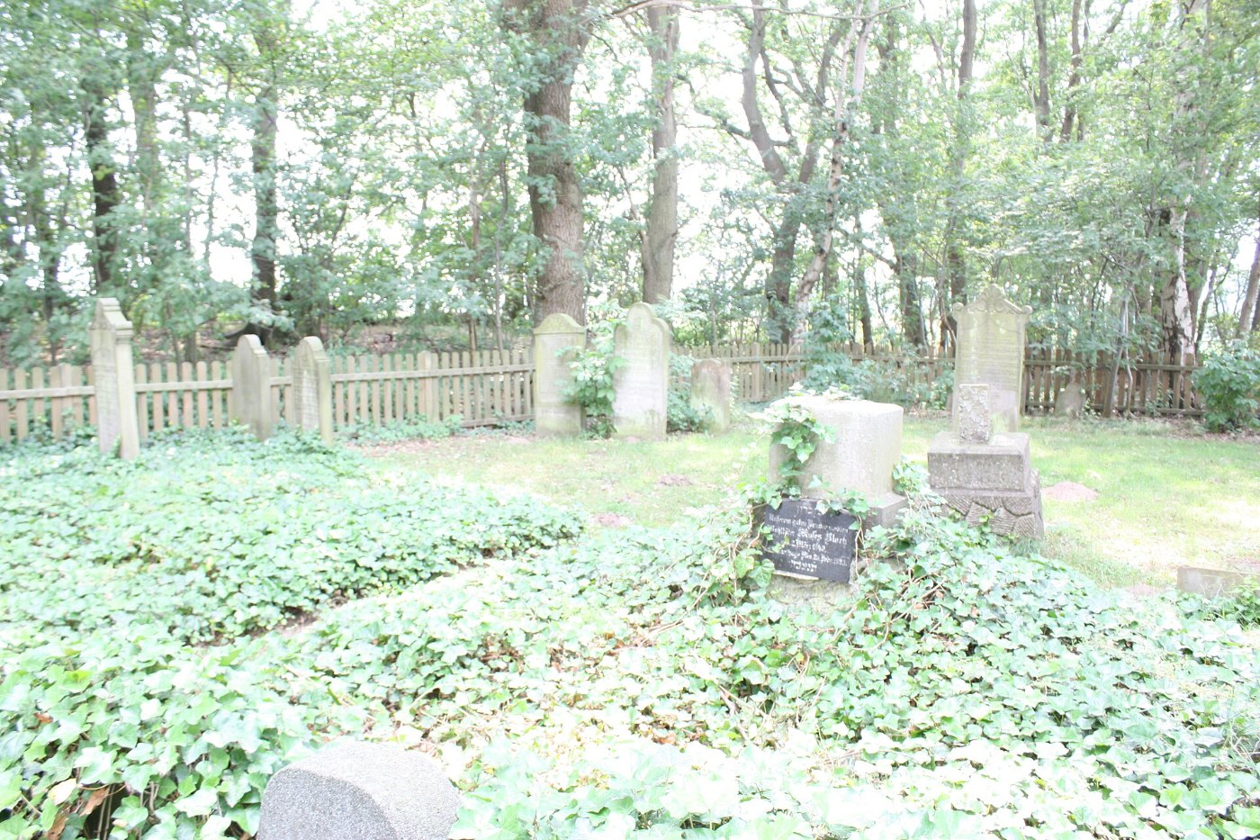 Jüdischer Friedhof Twistringen 2010 088