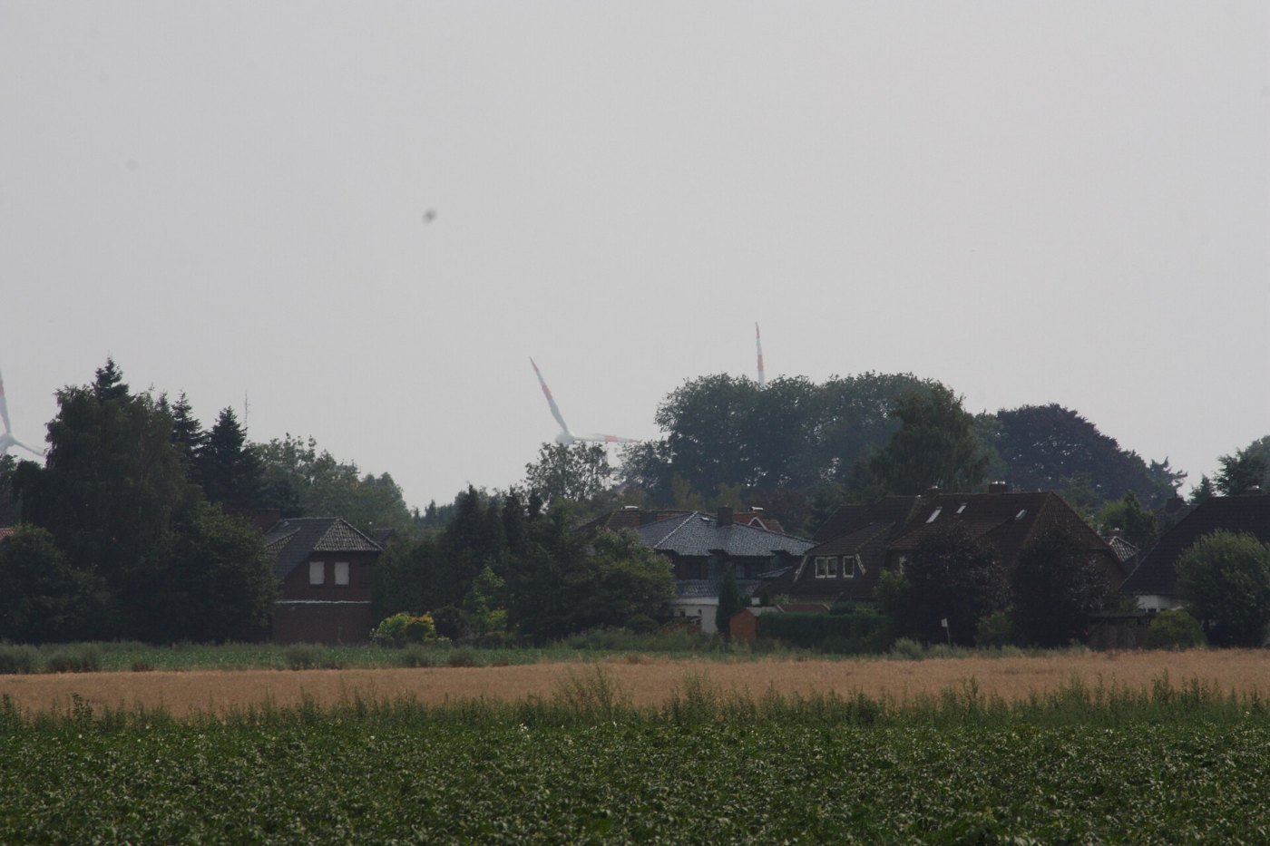 Twistringen Juli 2010 009