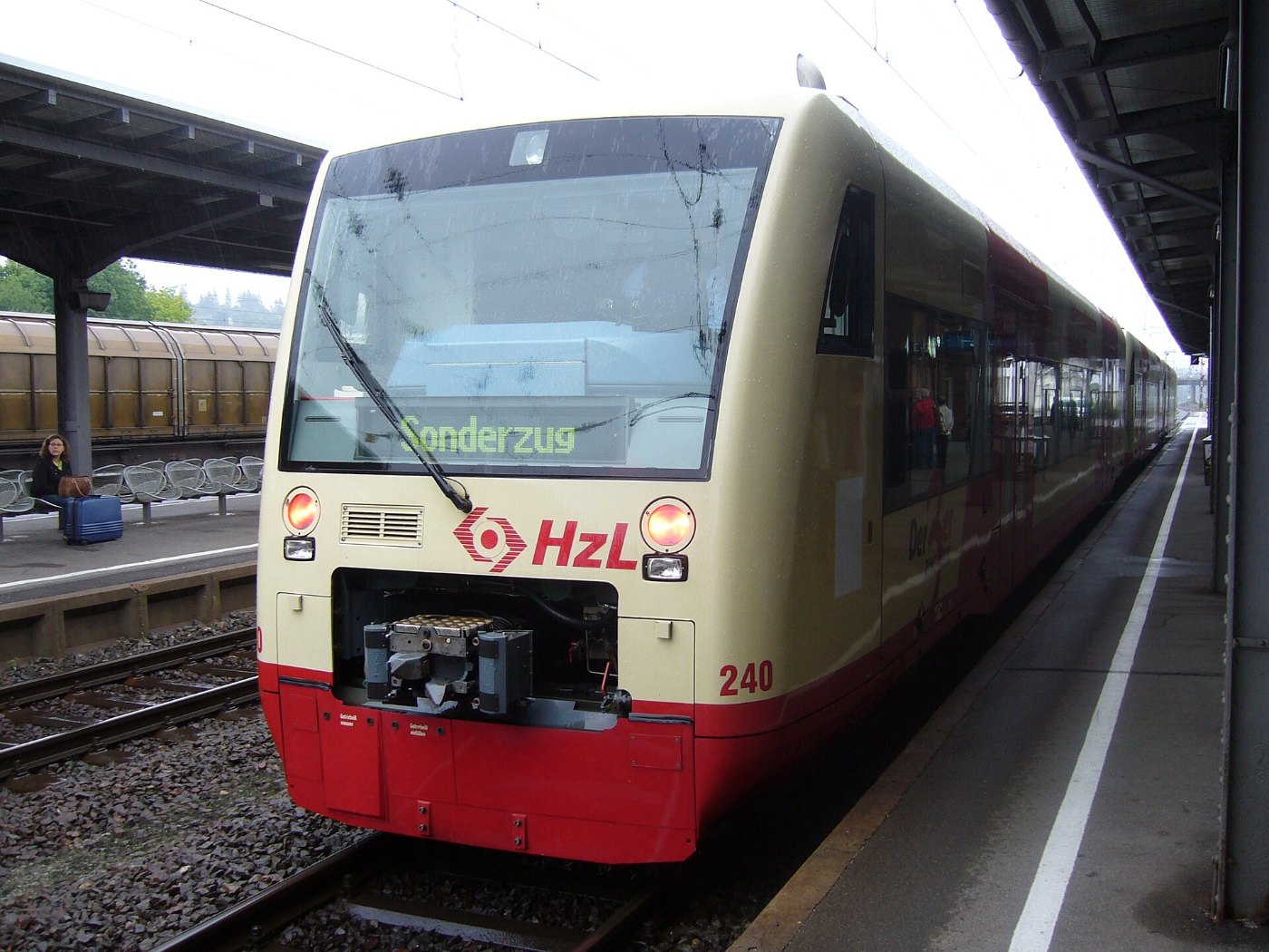 Ringzug Sonderzug Villingen