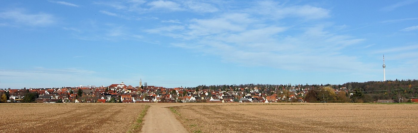 FildertunnelOberhalbSchnittpunktZaWeidachtal 2010 11