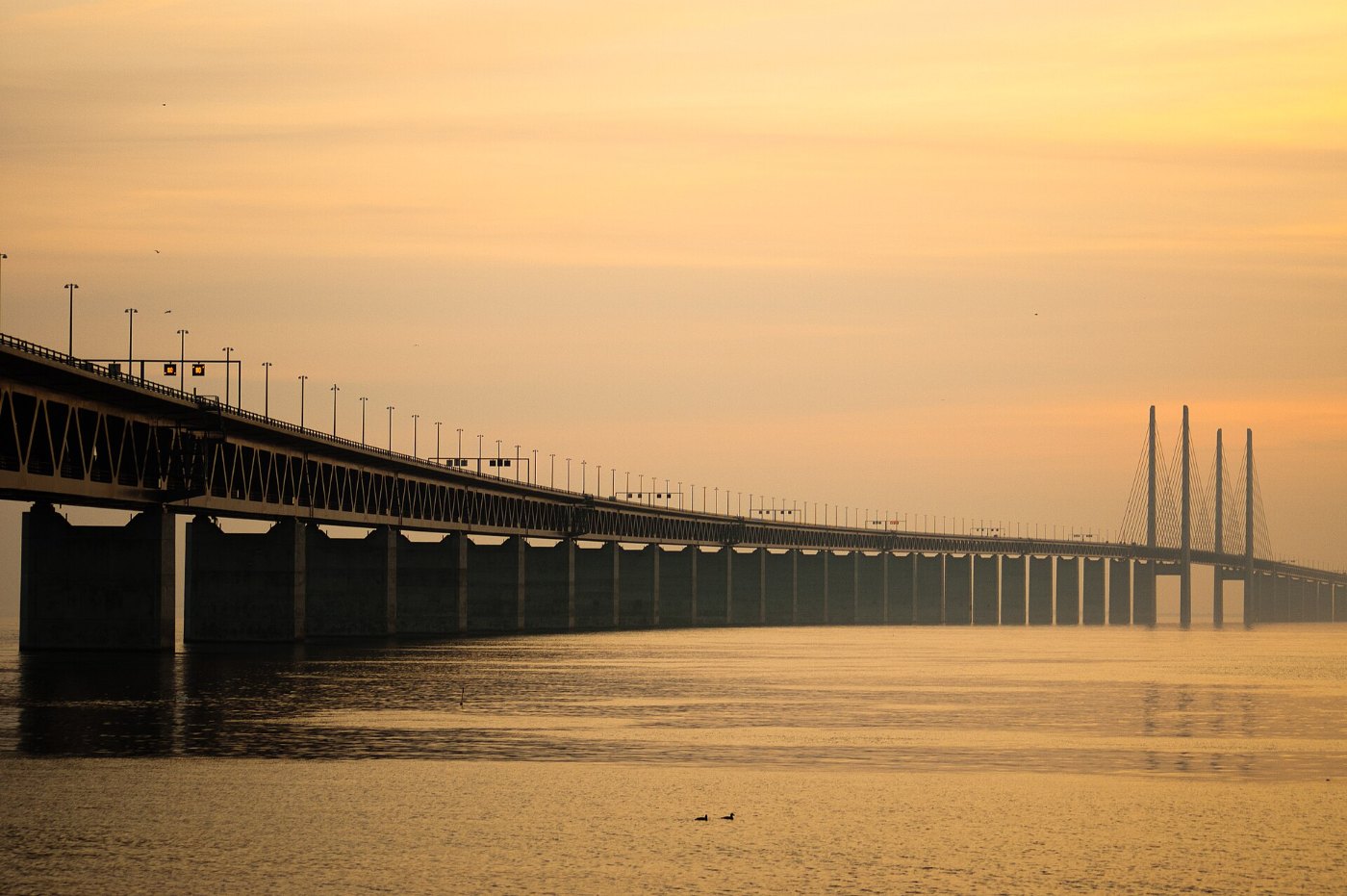 Øresund Bridge panoramio