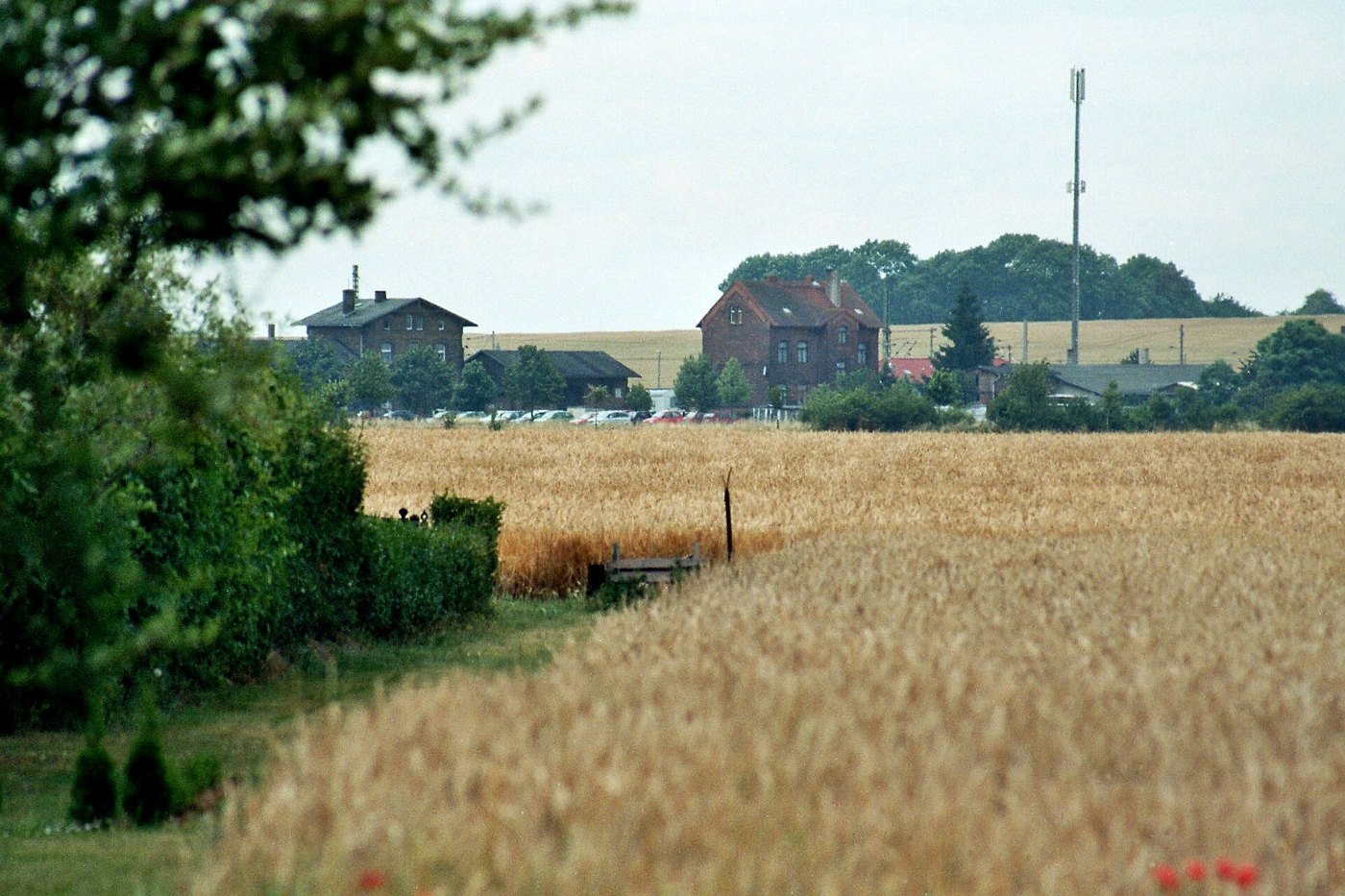 Sachsendorf (Barby), Blick zum Bahnhof