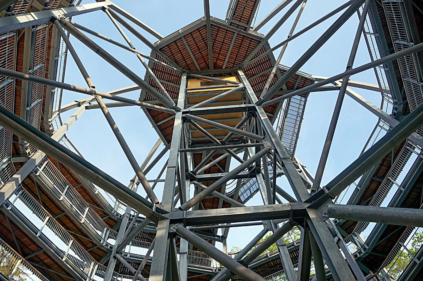 Bad Harzburg Baumwipfelpfad