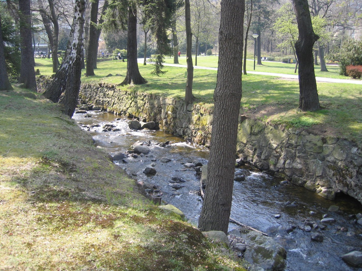 Radau in Kurpark Bad Harzburg 2