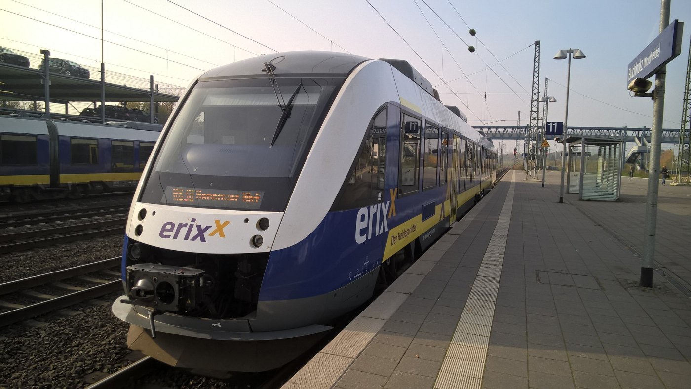 ErixxLINT41Buchholz(Nordh.)