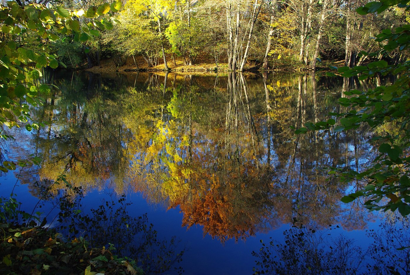 Der Schloßweiher im Eggenfeldener Gemeindeteil Gern