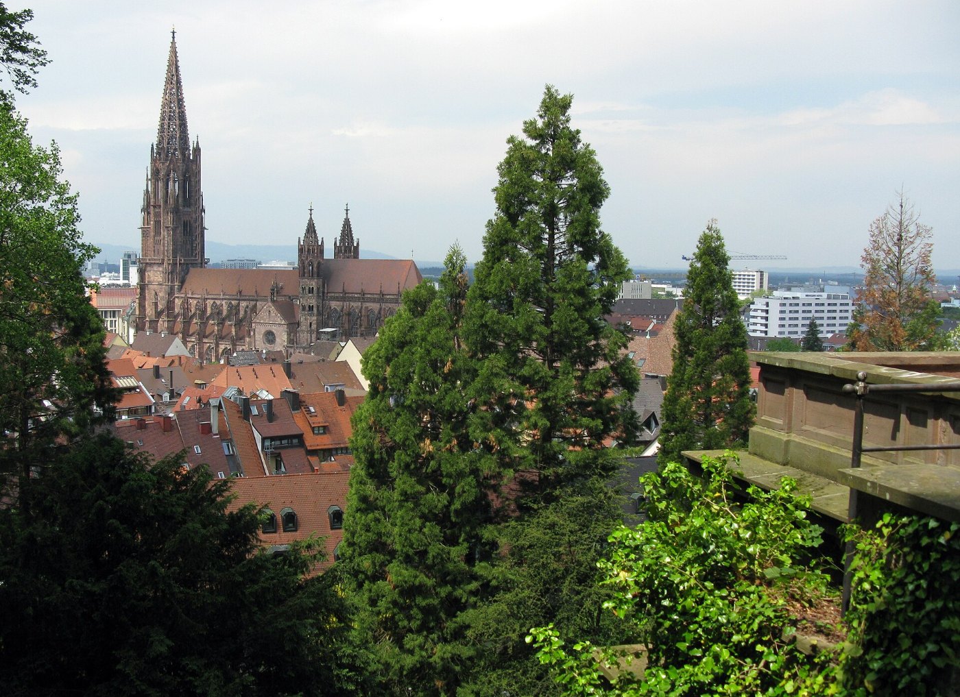 Freiburger Münster vom Schlossberg 6