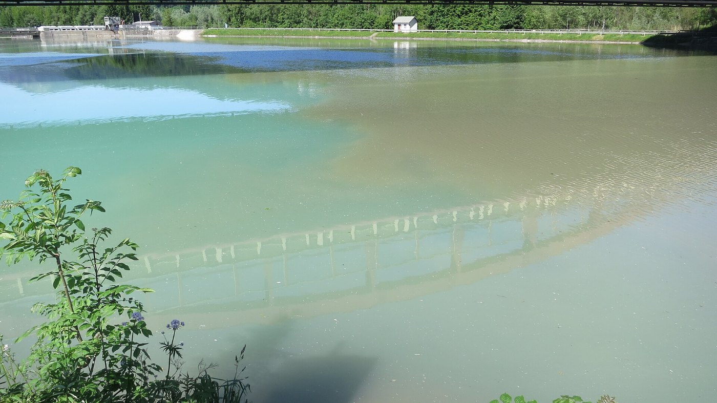 Hallein Rif Mündung der Königsseeache in die Salzach Mai 2014 IMG 3172