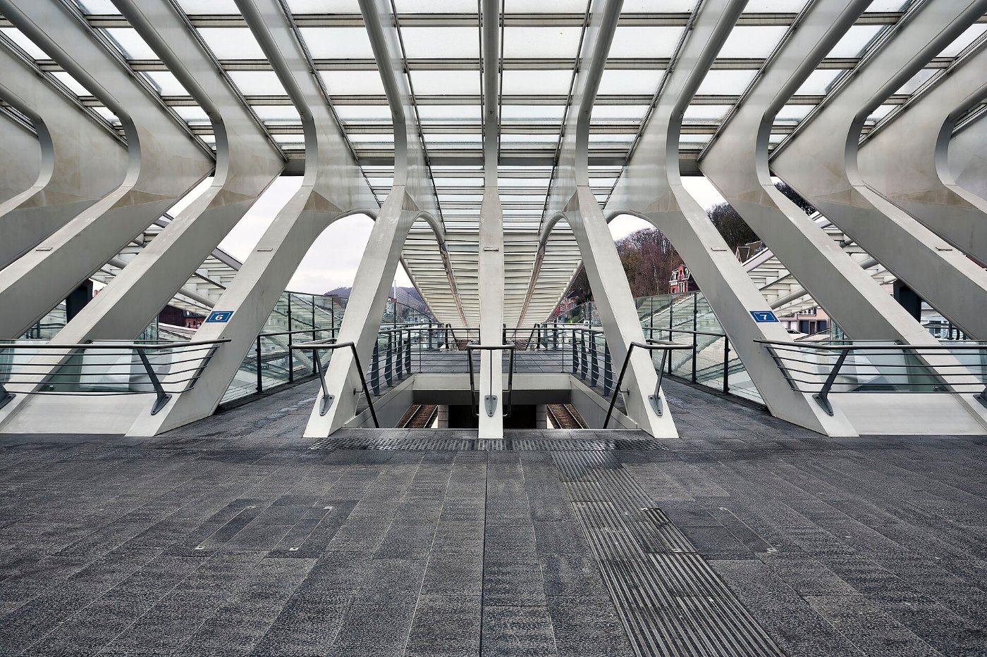 Station Luik Guillemins (Gare Liège Guillemins) 09