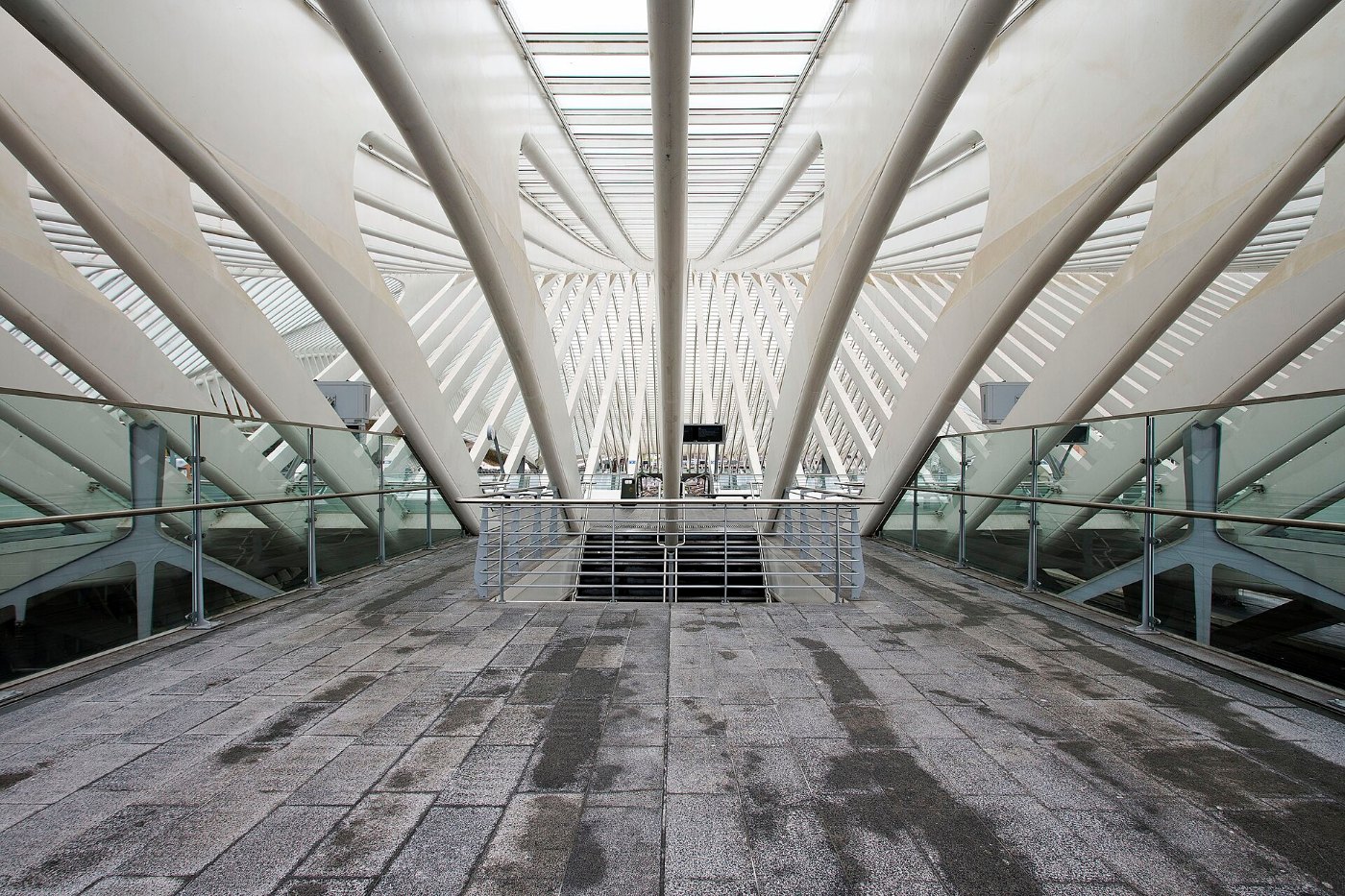 Station Luik Guillemins (Gare Liège Guillemins) 10
