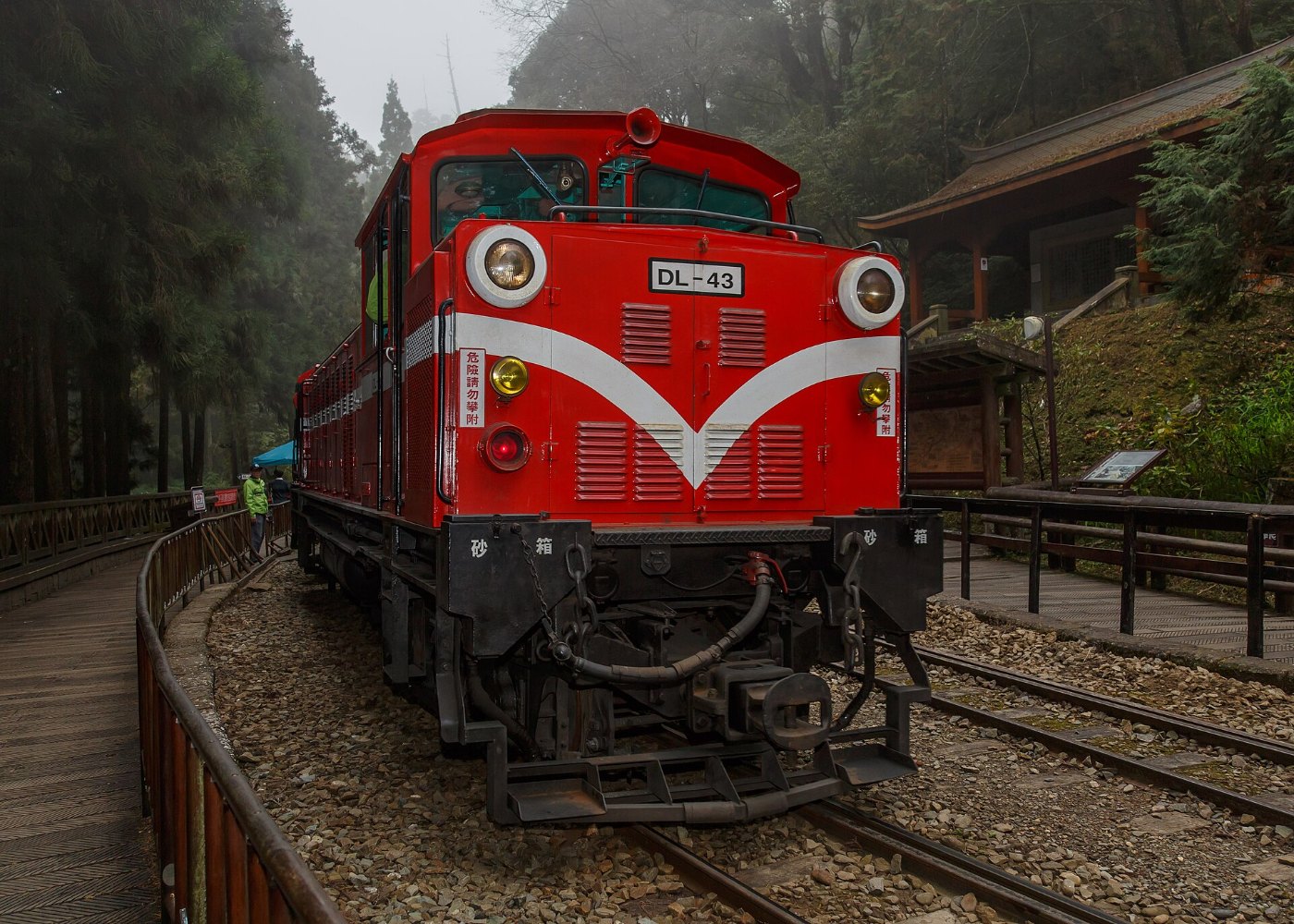 Waldbahn auf einer steilen Bergstrecke