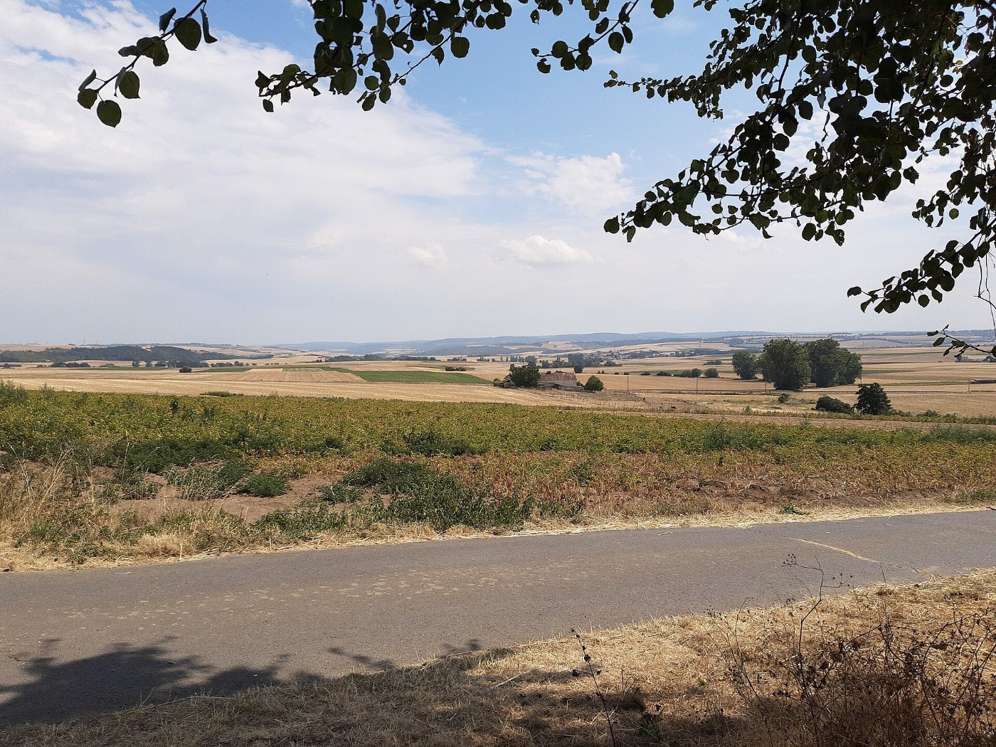 Eifel south of Mayen