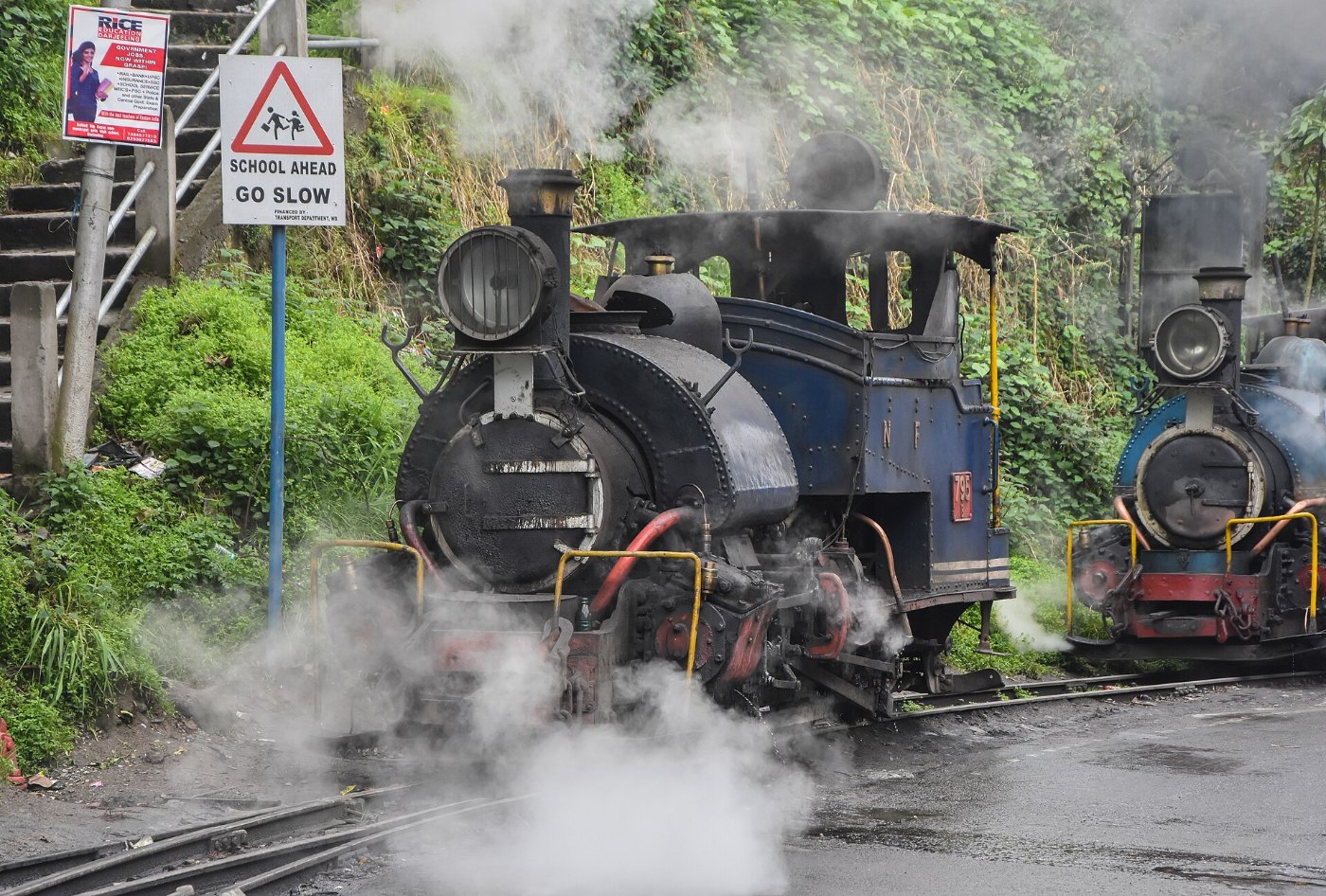 Darjeeling Himalayan Railway,toy train (3)