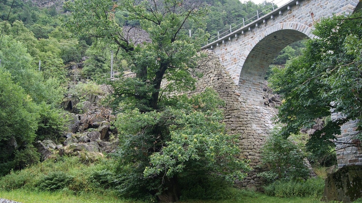 Rote Berninabahn fährt über das offene Kreisviadukt von Brusio