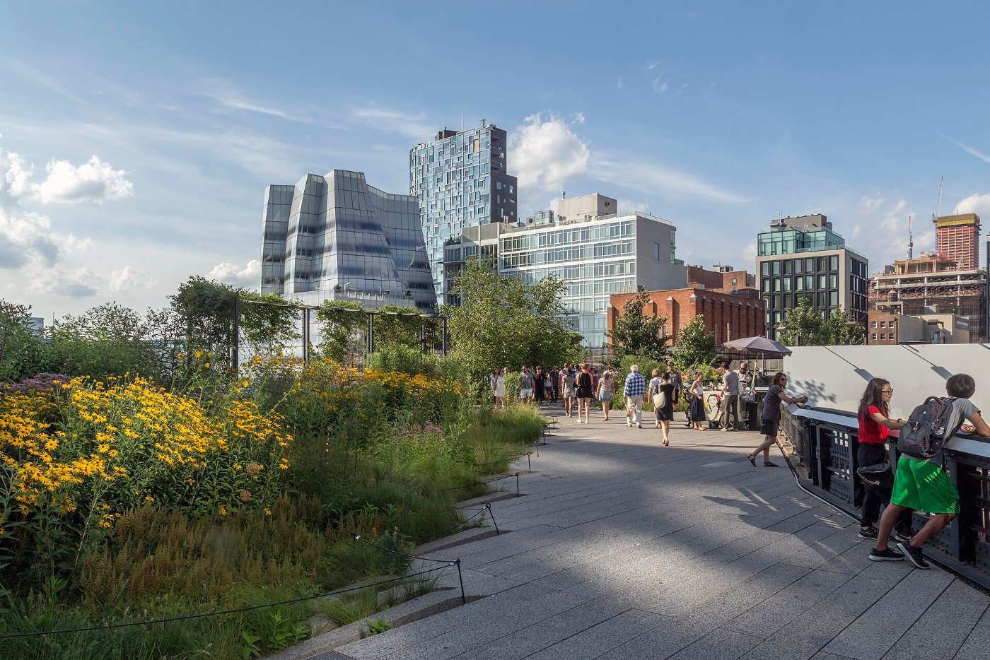 Alte Gleise zwischen Pflanzen auf der New Yorker High Line