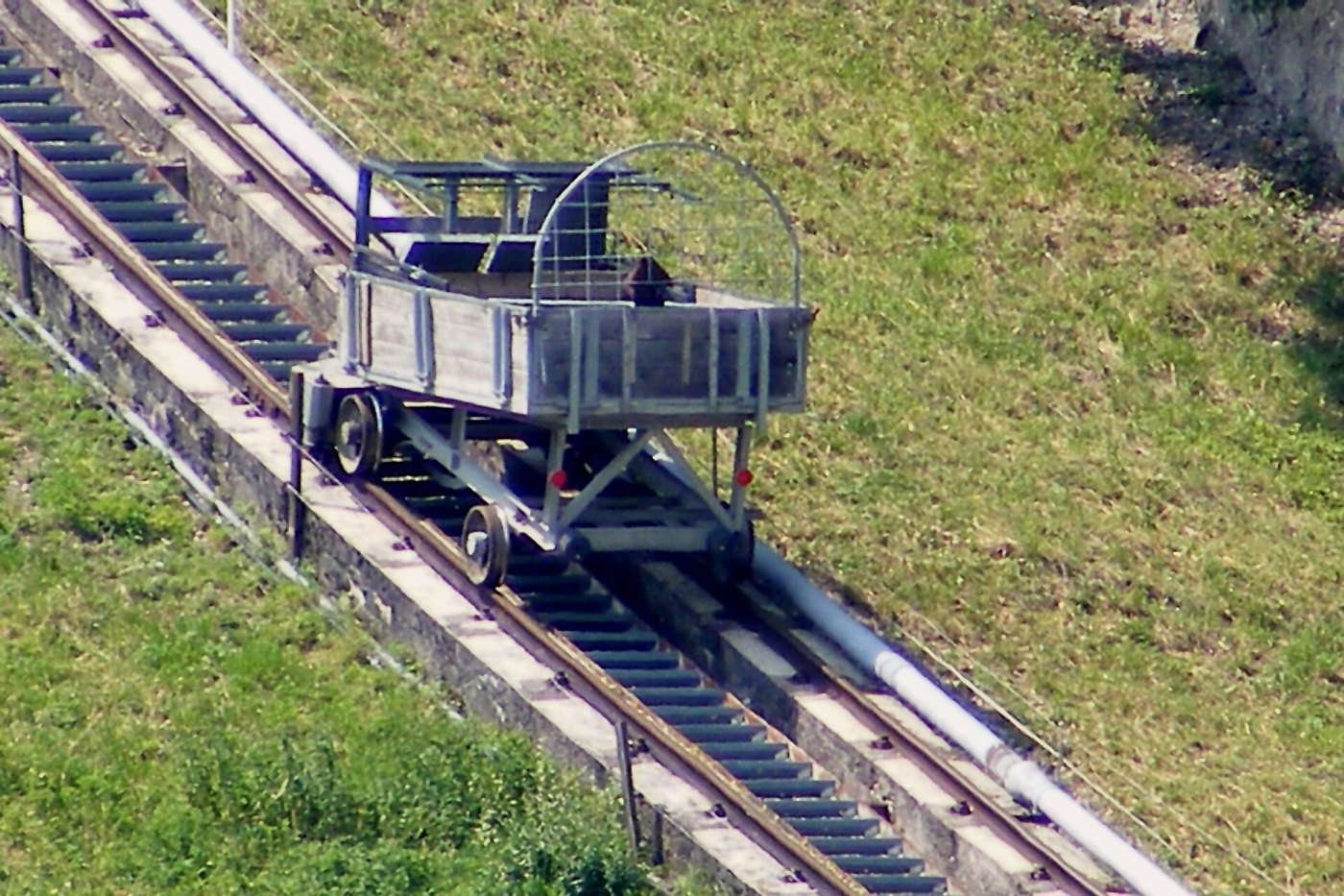 Reißzug Wagen