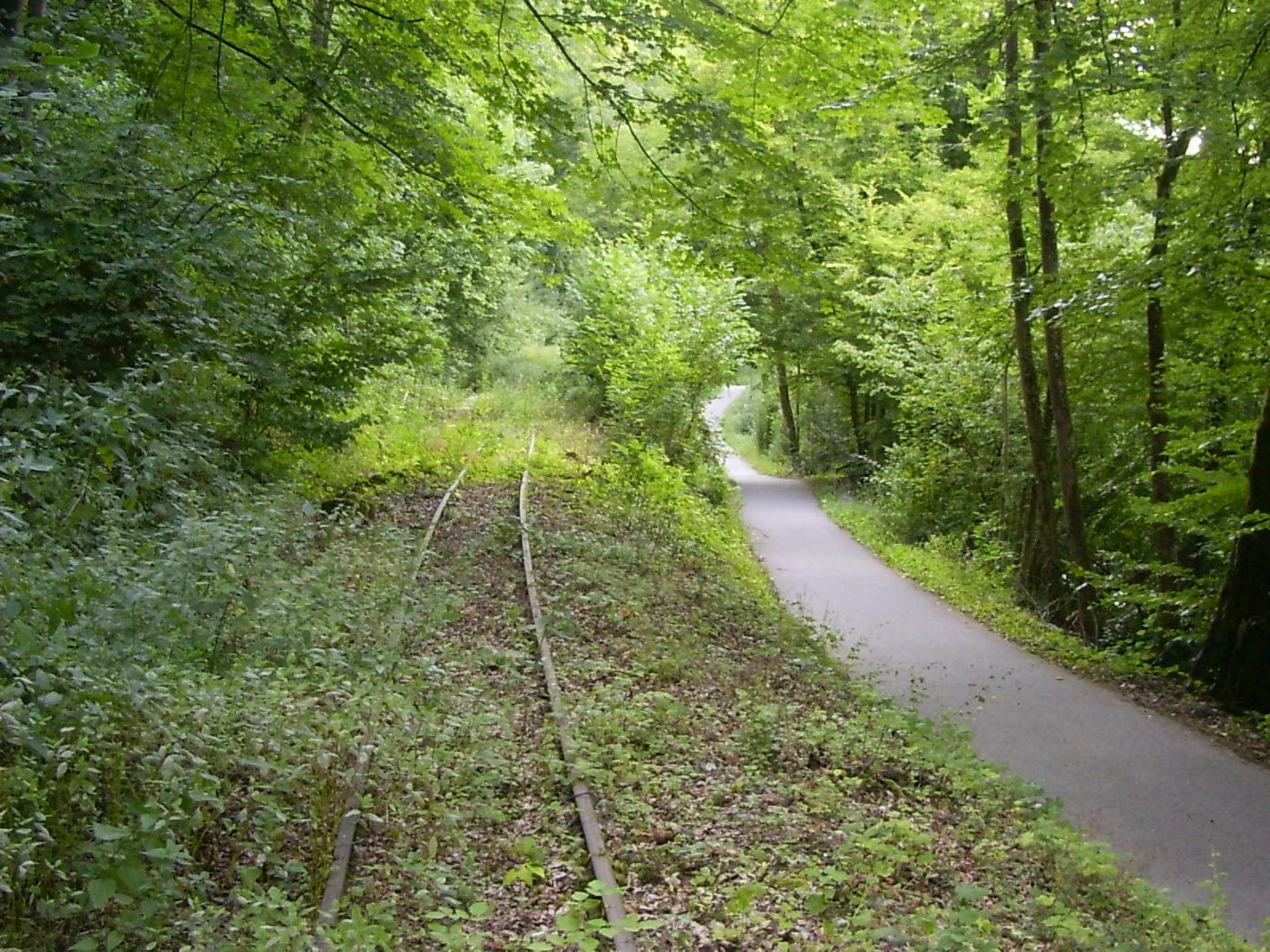 Jagsttalbahn east of Widdern