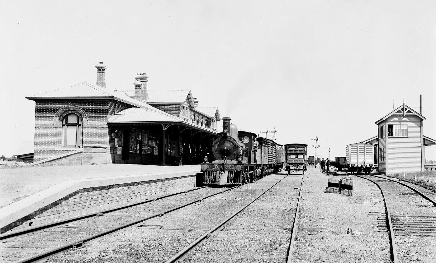 Victorian Railways locomotive D324 with mixed train at Serviceton statio