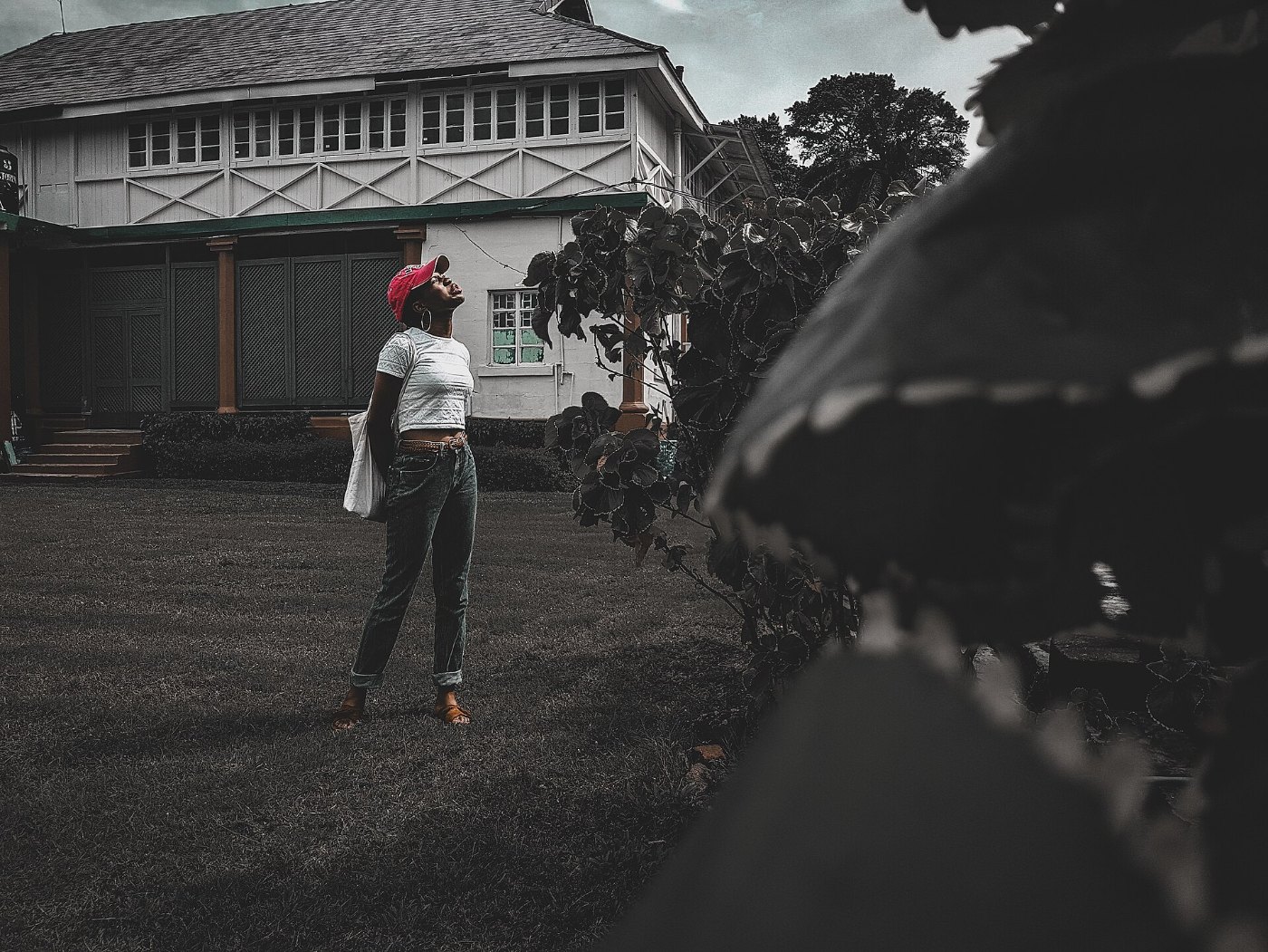 Behind the Jaekel house in the Nigerian railway premises in Ebute Metta