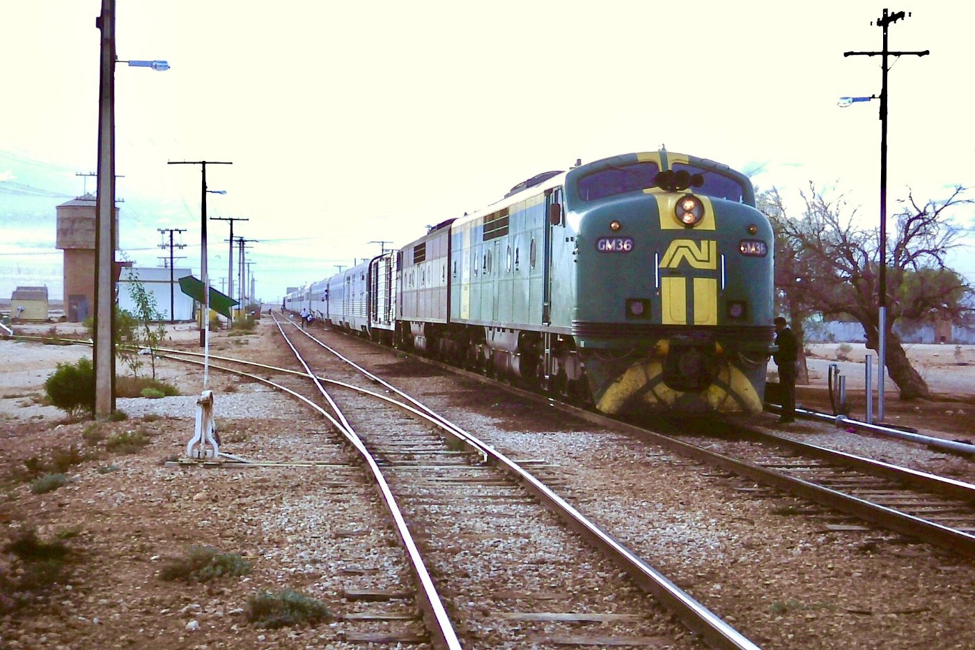 Zug in der weiten Landschaft Australiens