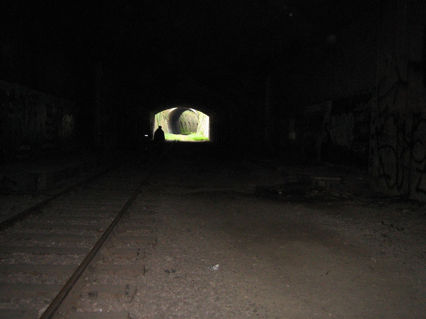Alter Bahneinschnitt der Pariser Petite Ceinture mit Pflanzen