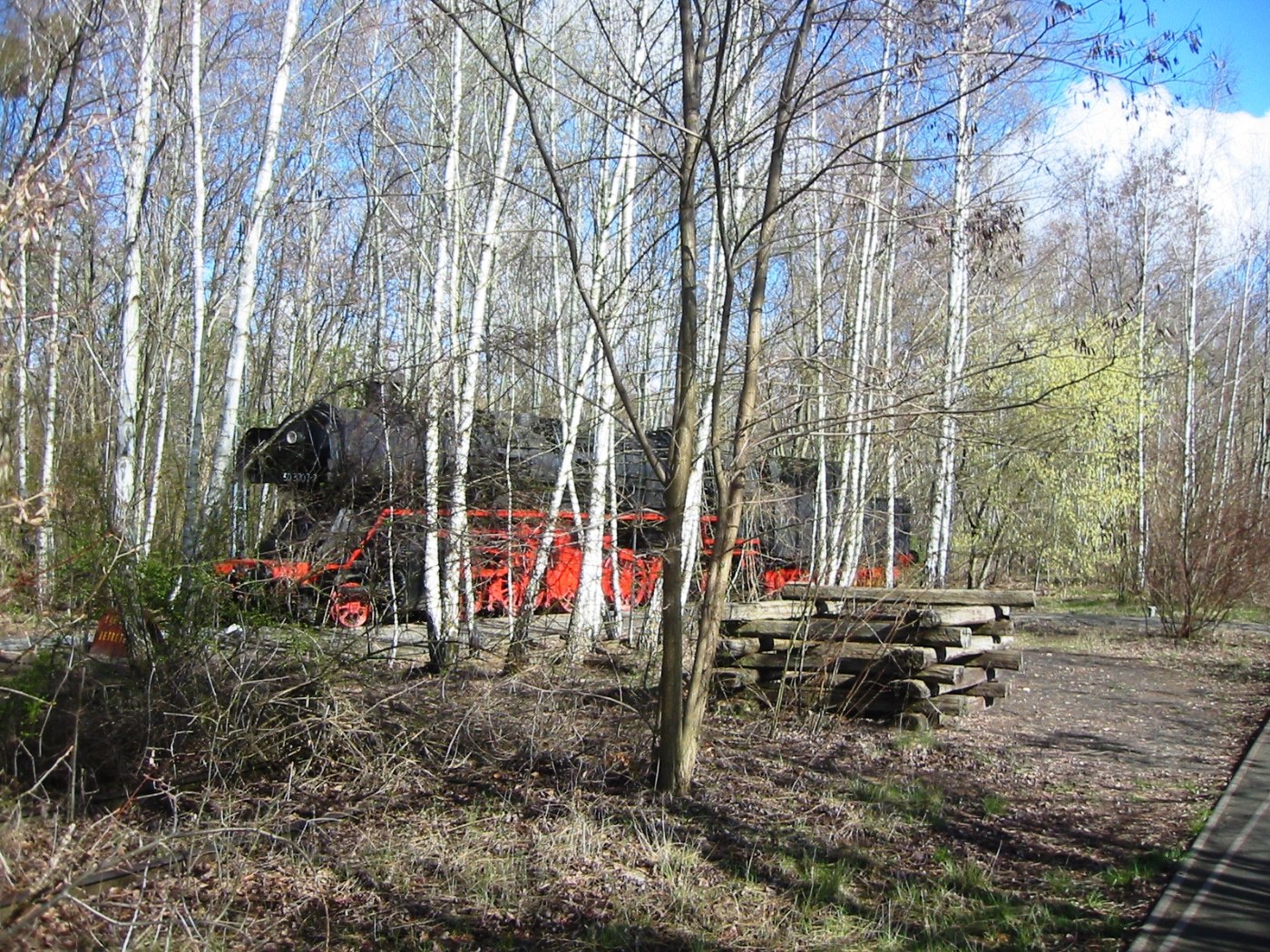 Alte Gleise und Bäume im Natur-Park Südgelände in Berlin