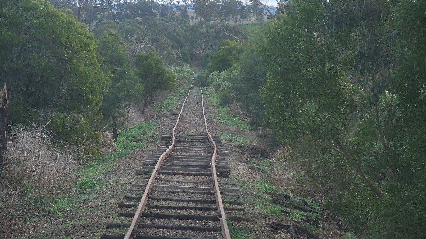 Buckled rails on the Yarra Valley Railway