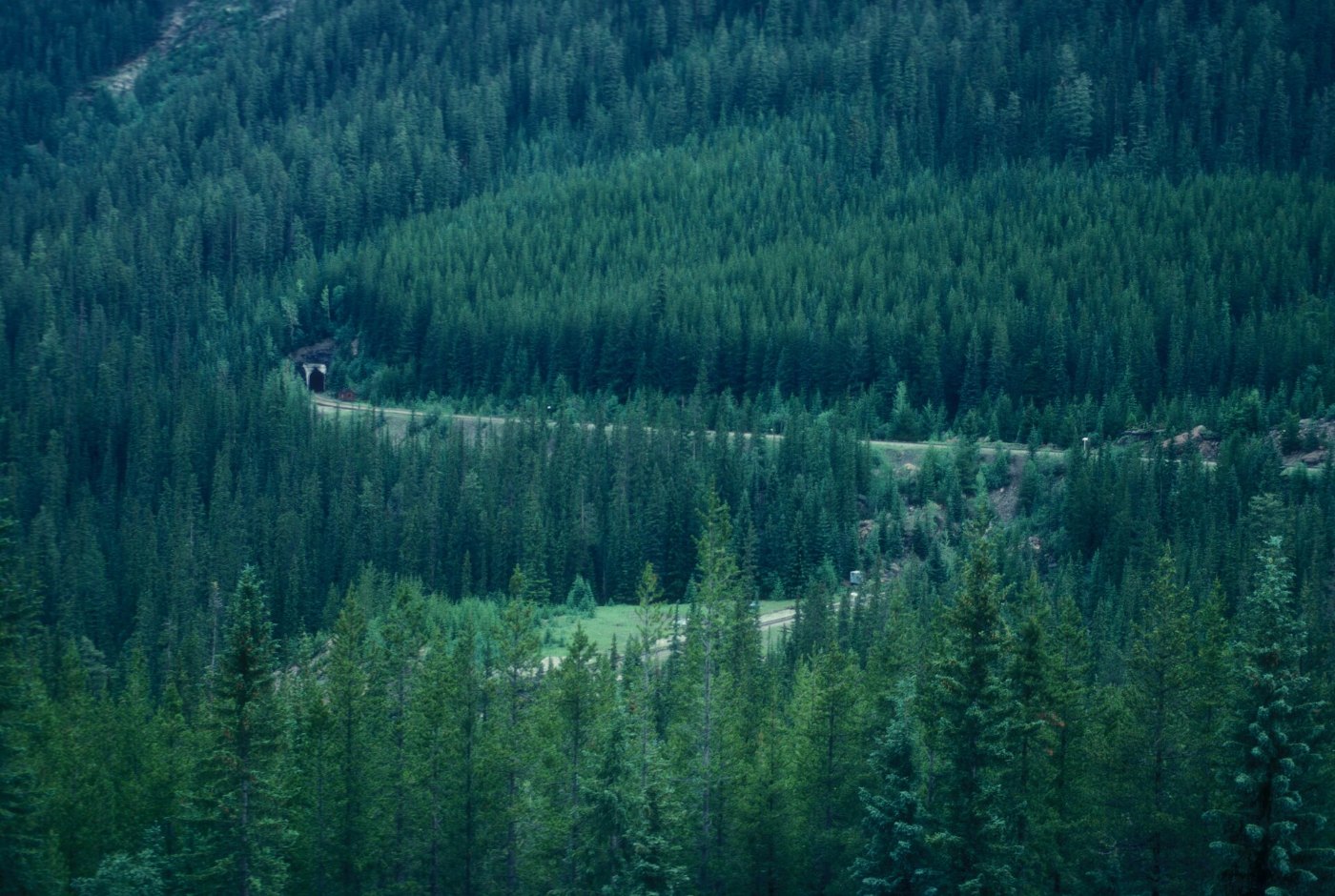 KICKING HORSE PASS NATIONAL HISTORIC SITE