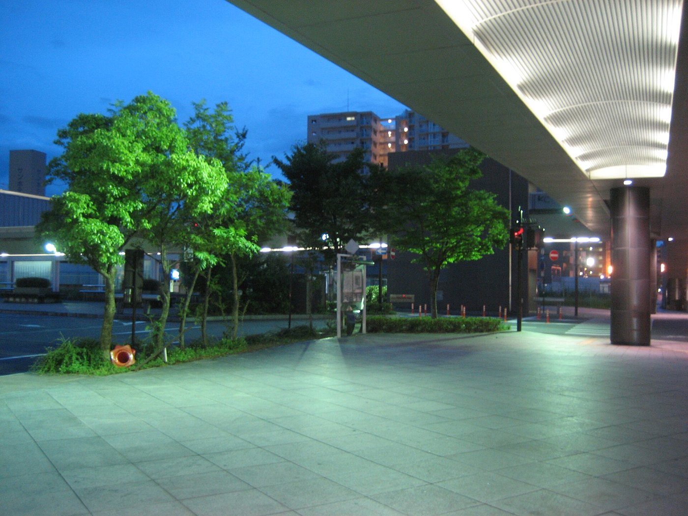 JR Nara Station West Square panoramio