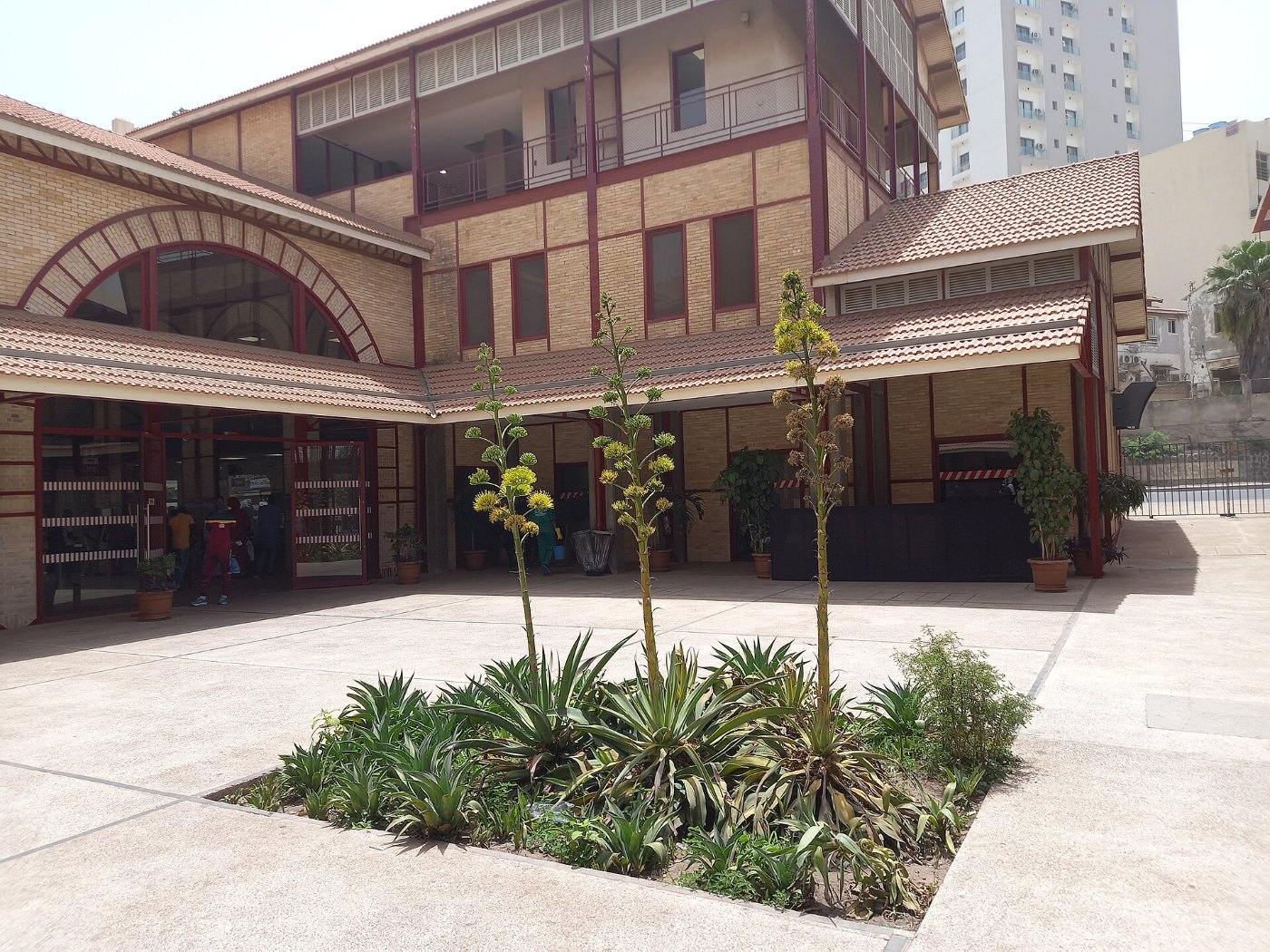 TER Gare de Dakar