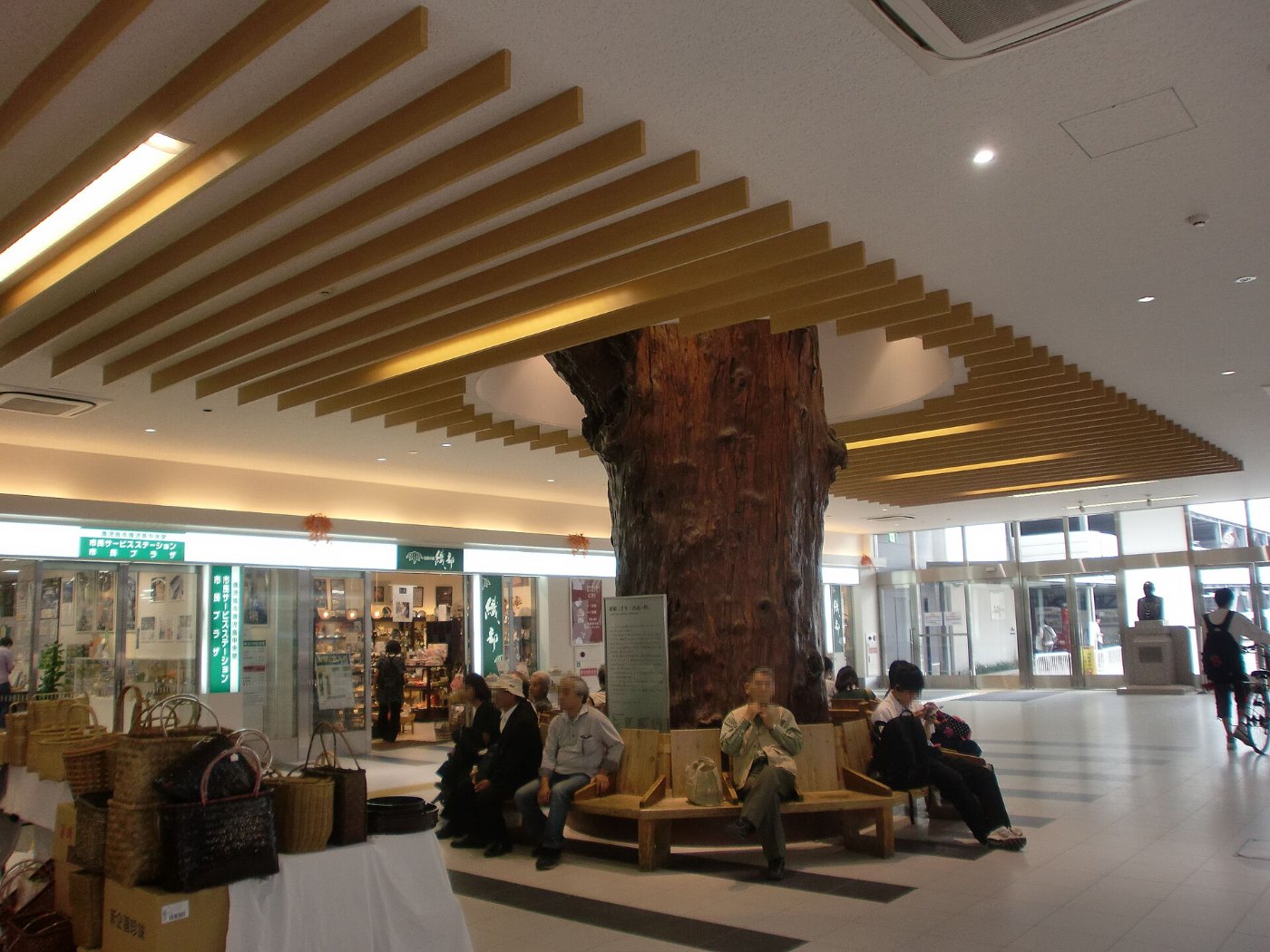 Deaisugi at Kagoshima Chuo Station