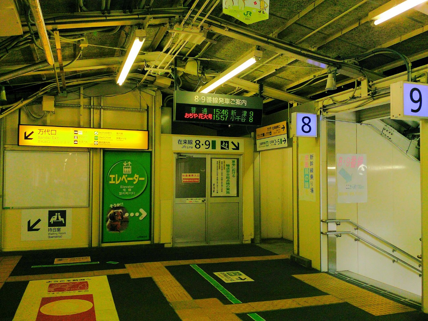 Niigata Station 8and9 Platform Renraku
