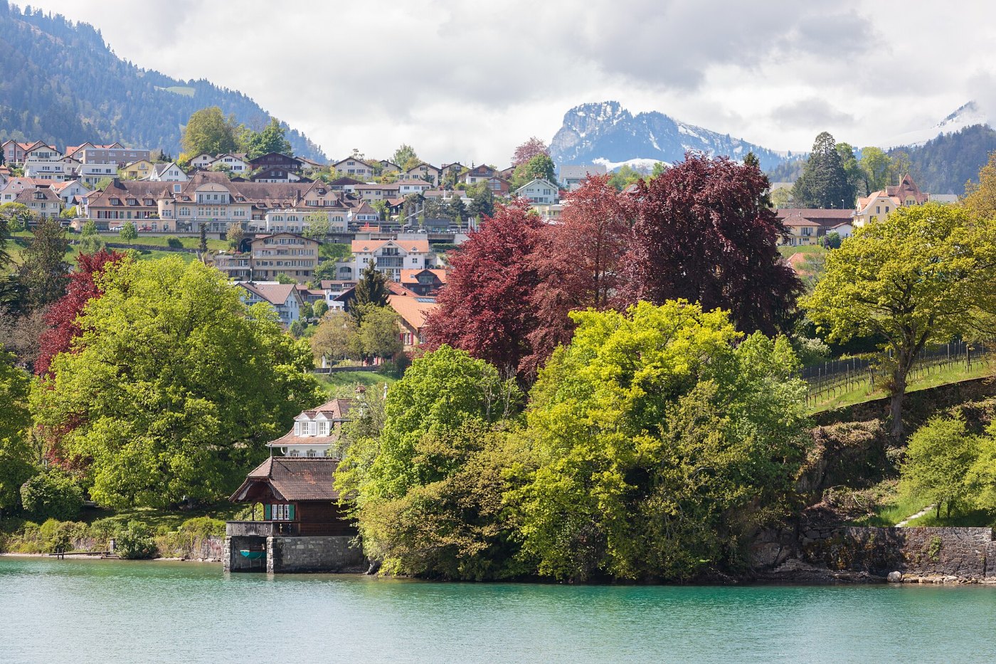 Blick vom Schiff auf Spiez am Thunersee (2014)