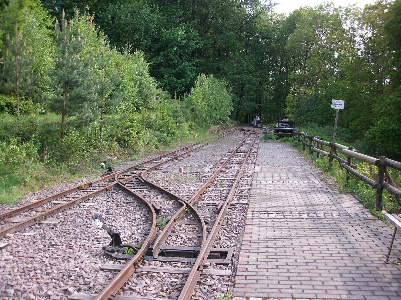 Bahnhof Dreiwerden Silberwäsche, Gleise (1)