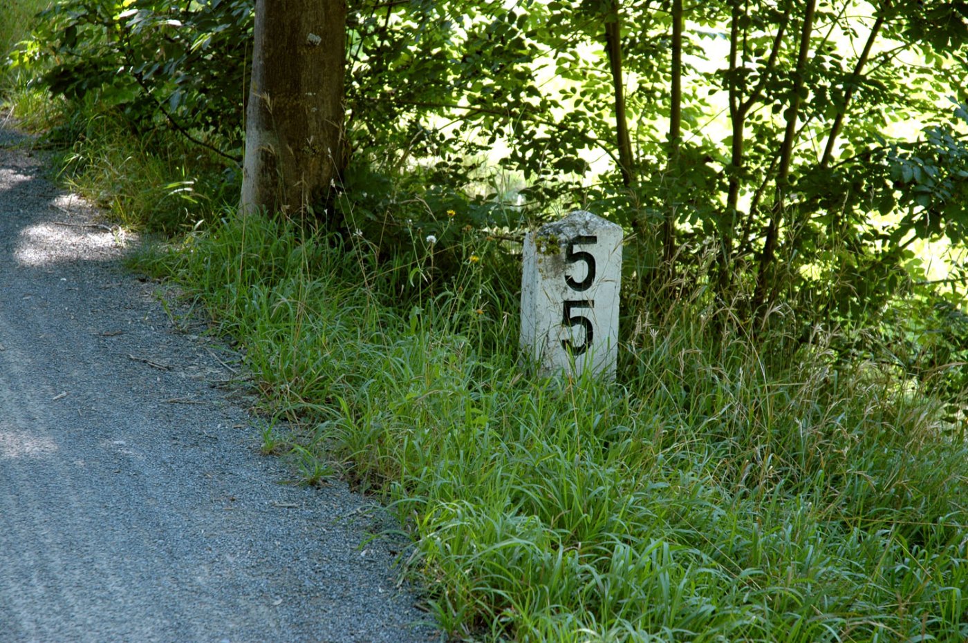 Historische Trasse im Bottwartal