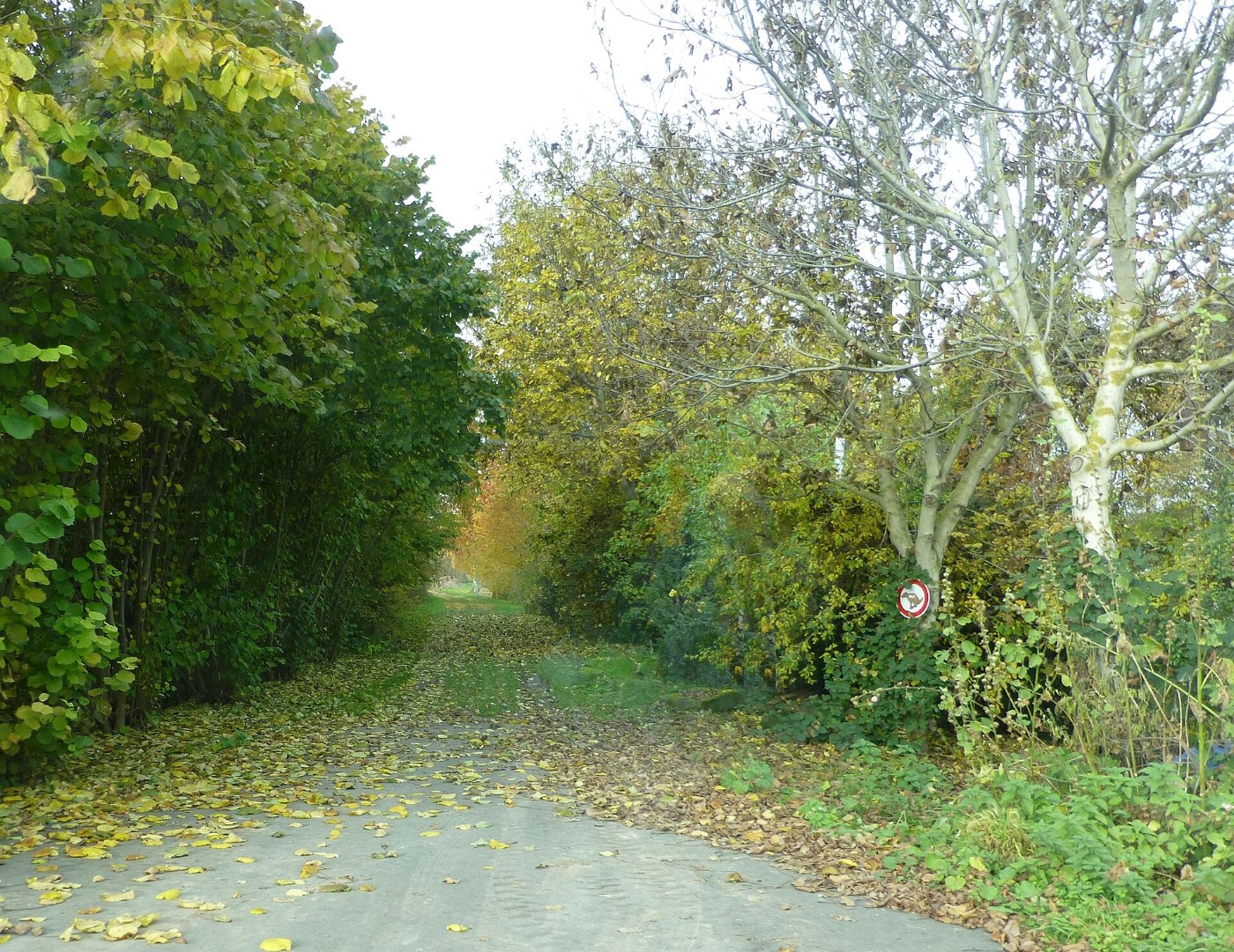 Niedergandern Bahndamm 4