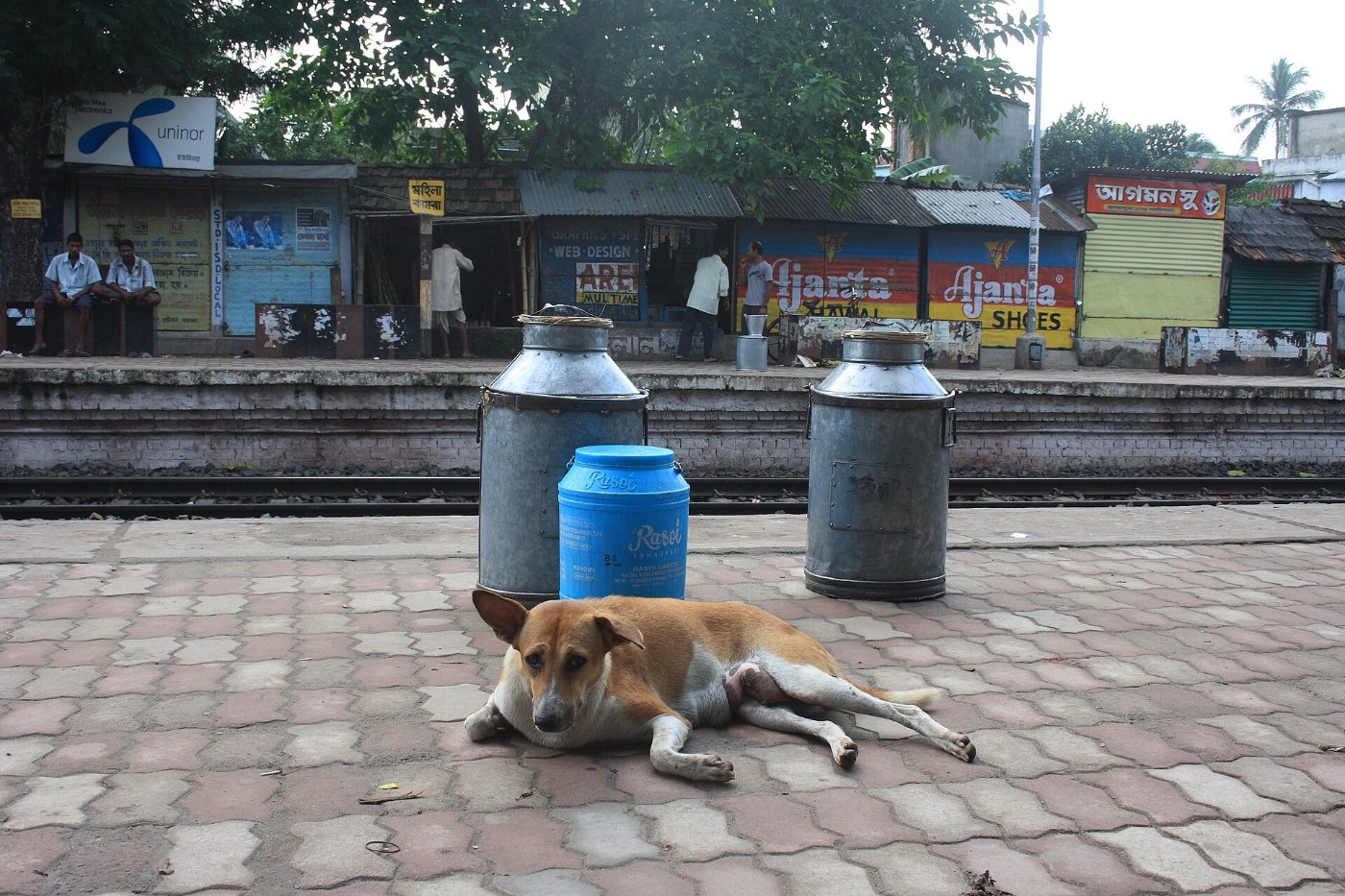 DogHridaypur