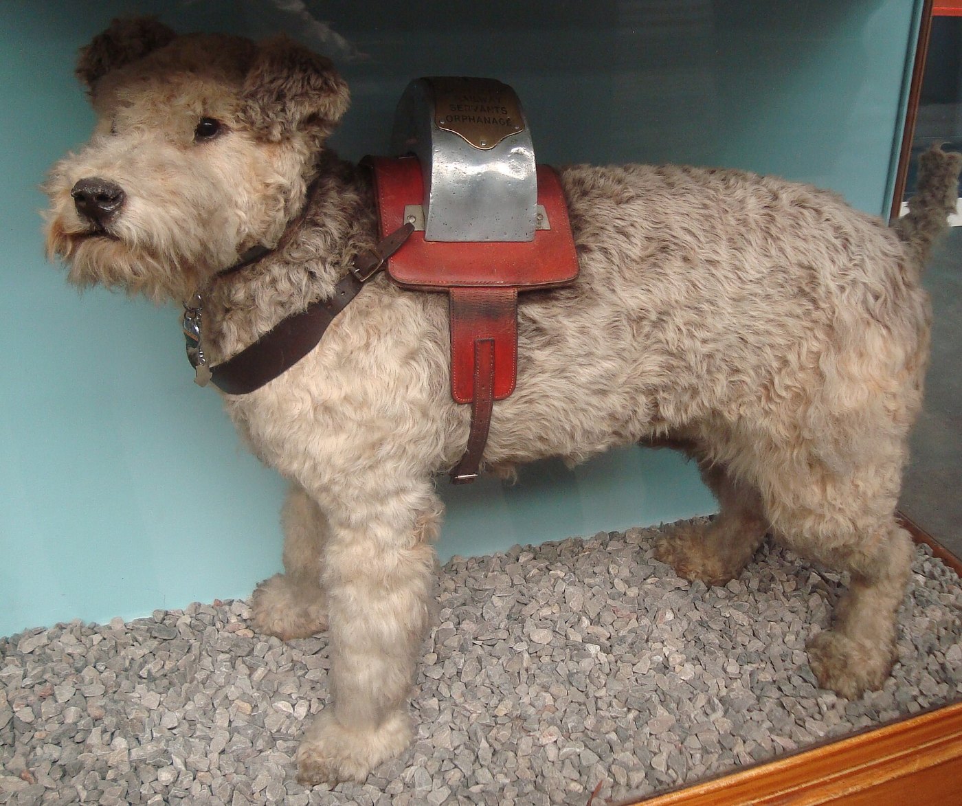 York ... station dog National Railway Museum. ()