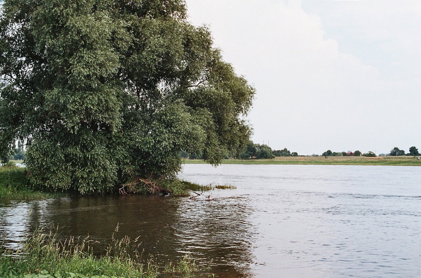Ranies (Schönebeck), die Elbe 1
