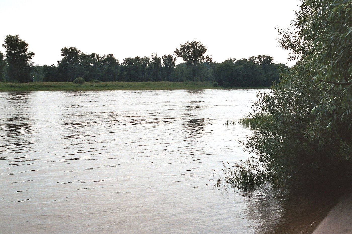 Ranies (Schönebeck), die Elbe 2