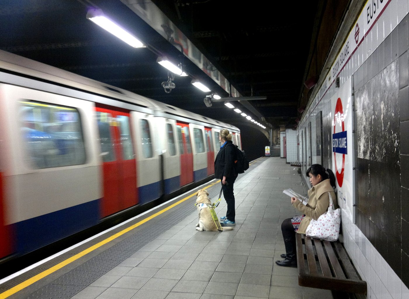 Guide dog user on the tube Euston Square 16 November 2012