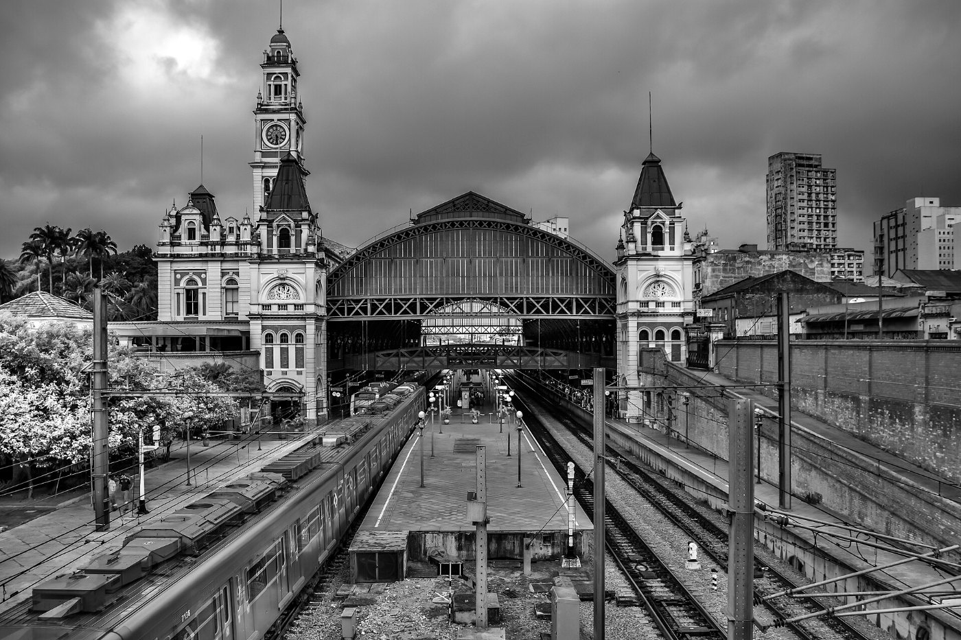 Estação da Luz São Paulo (5)