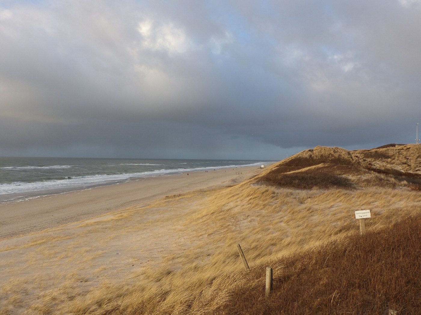Die Westküste der Insel Sylt mit dem Strand nördlich von Westerland