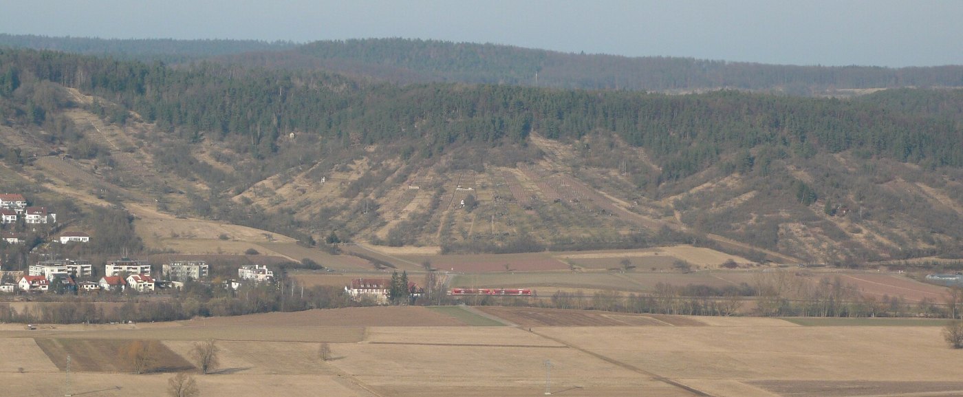 Ammertalbahn2