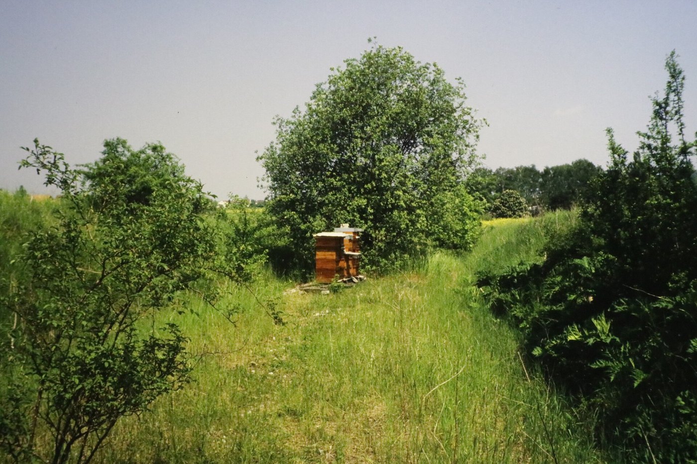 Ammertalbahn01 1990