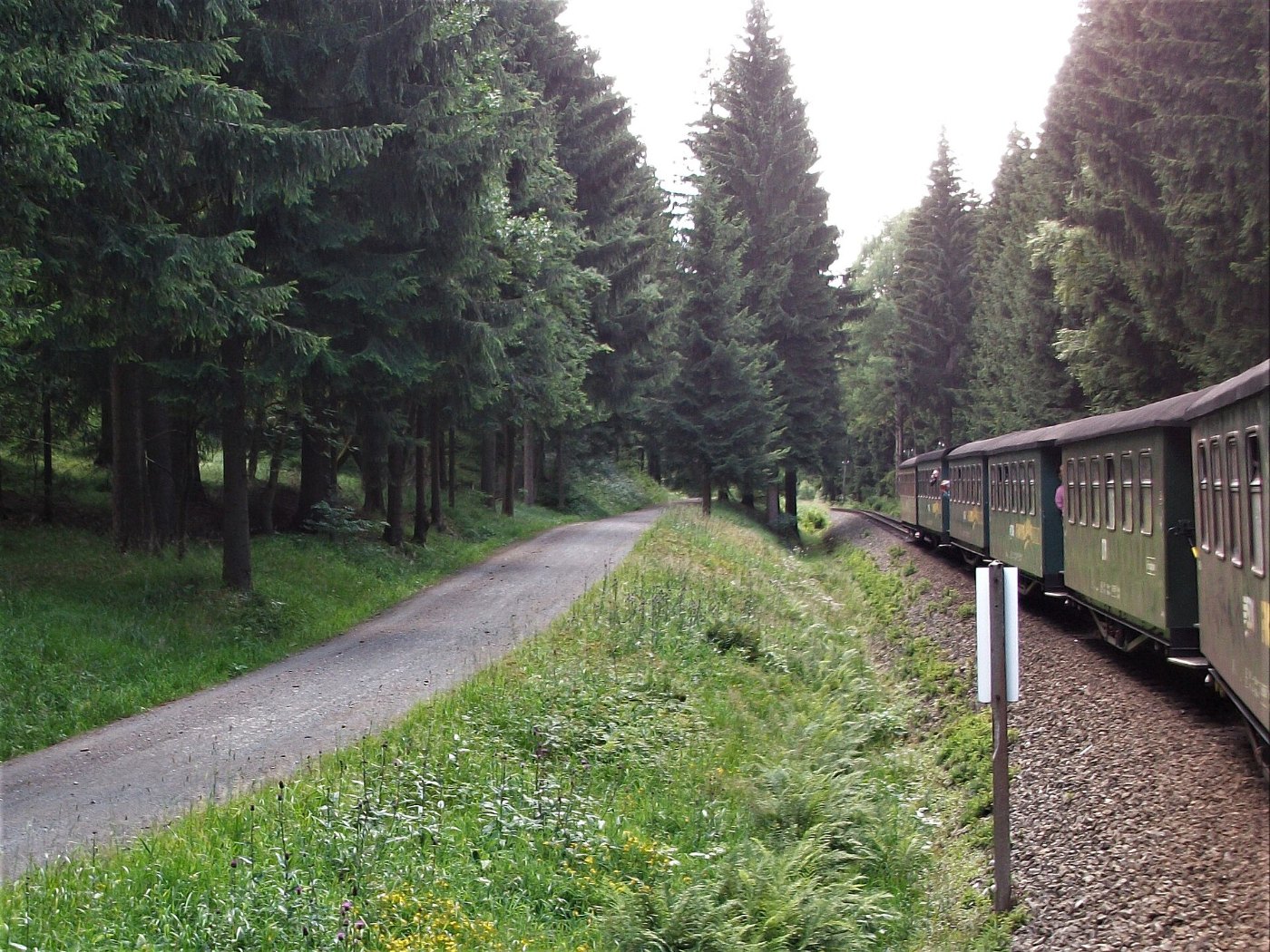 Fichtelbergbahn zwischen Kretscham Rothensehma und Niederschlag